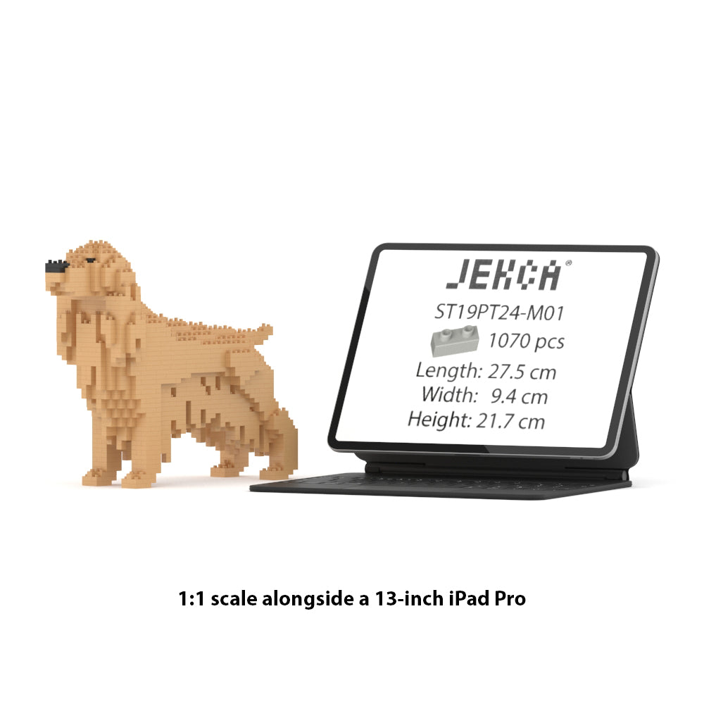 English Cocker Spaniel 01-M01