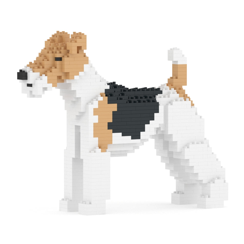 Wire Haired Fox Terrier 01