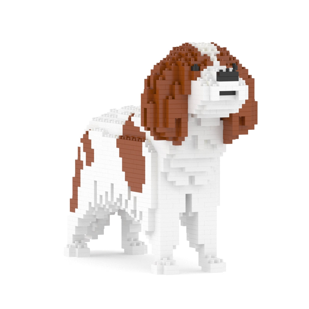 Cavalier King Charles Spaniel 01-M01
