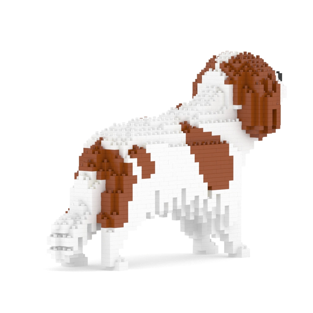 Cavalier King Charles Spaniel 01-M01