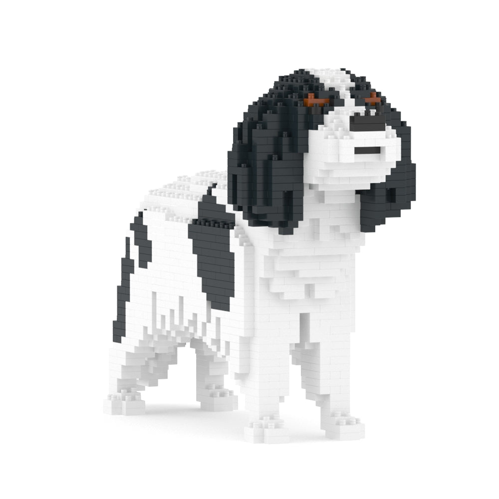 Cavalier King Charles Spaniel 01-M02