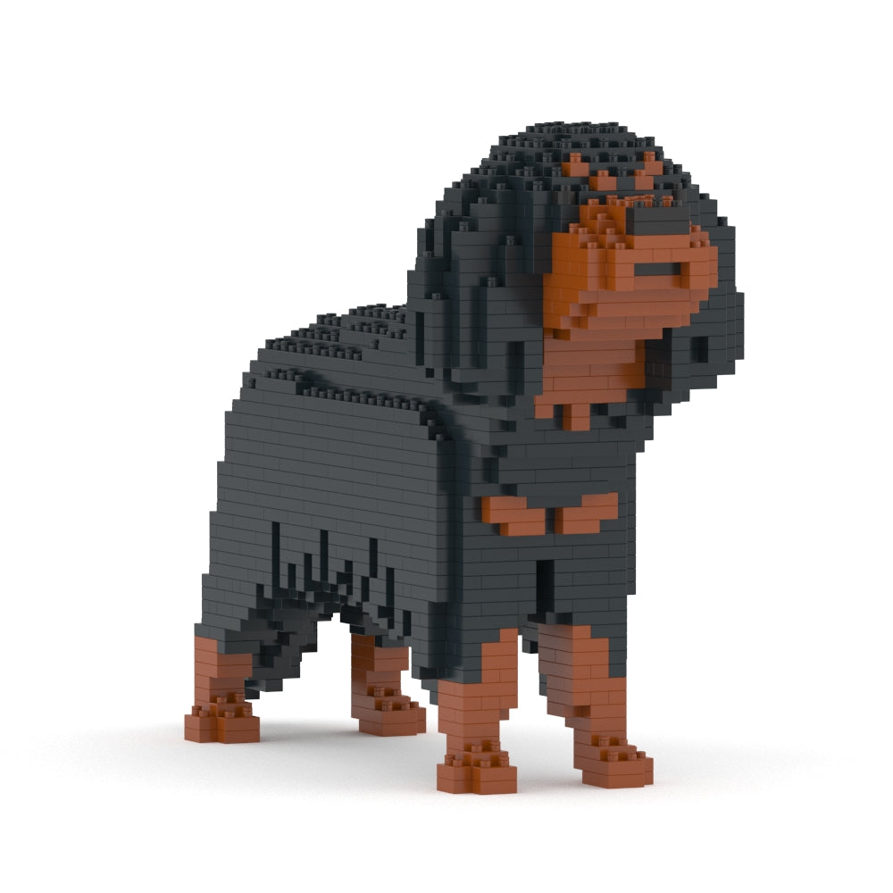 Cavalier King Charles Spaniel 01-M04