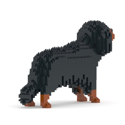Cavalier King Charles Spaniel 01-M04