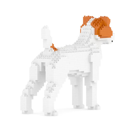 Jack Russell Terrier 01-M01