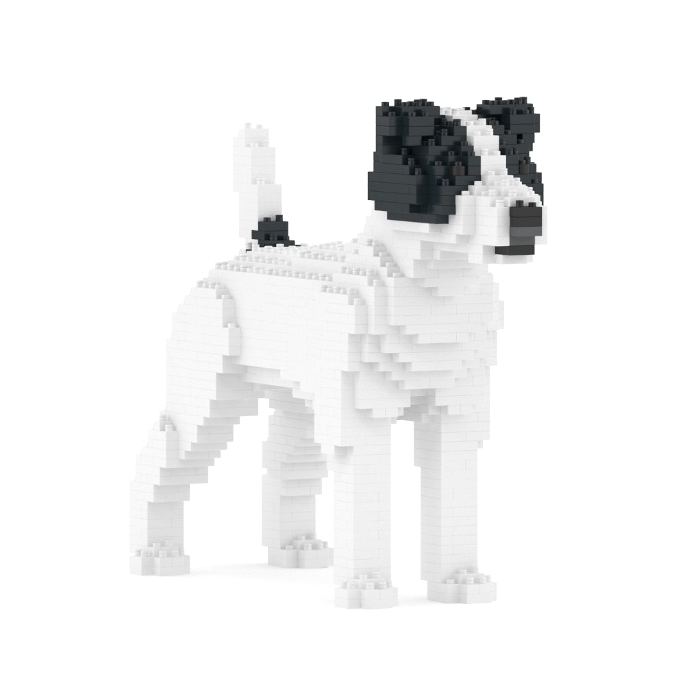 Jack Russell Terrier 01-M02