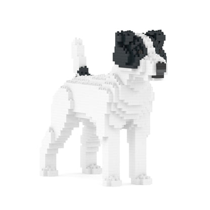 Jack Russell Terrier 01-M02