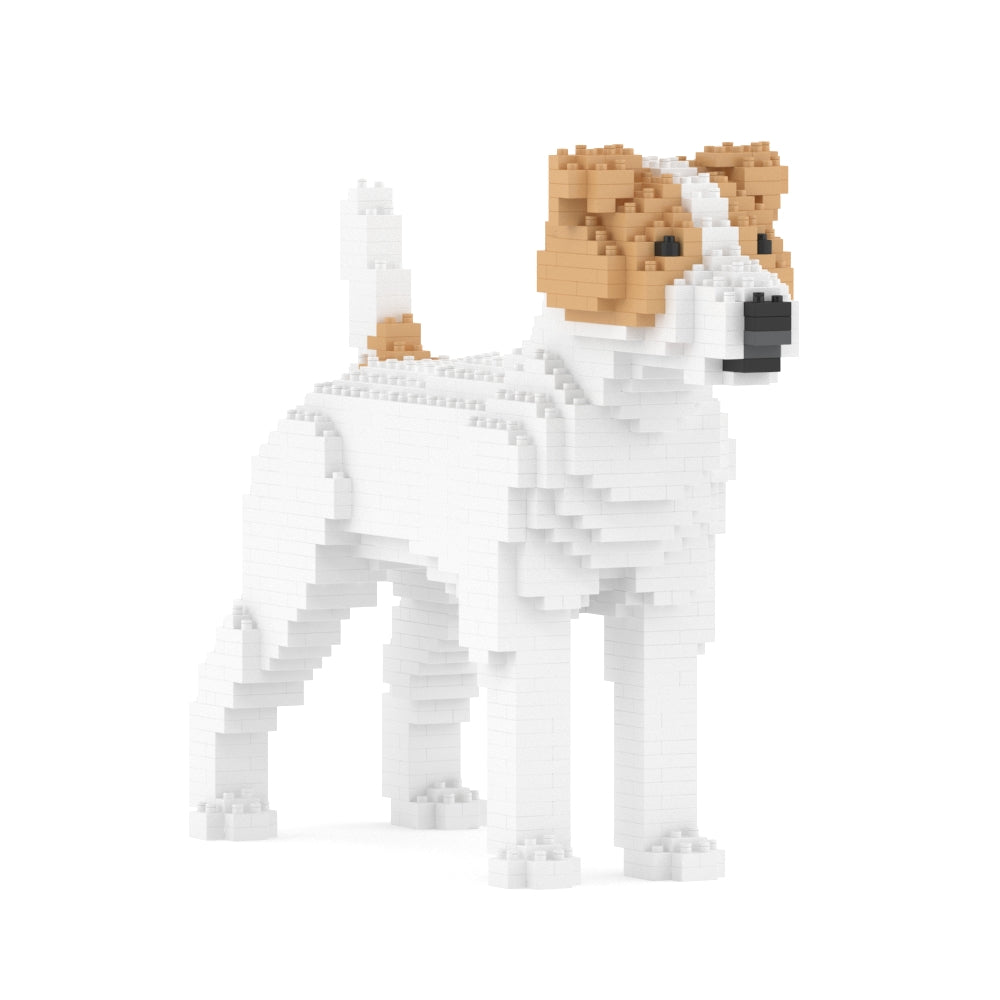Jack Russell Terrier 01-M03