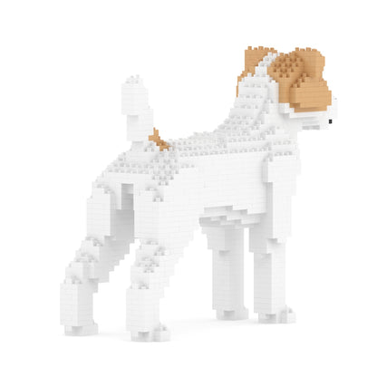 Jack Russell Terrier 01-M03