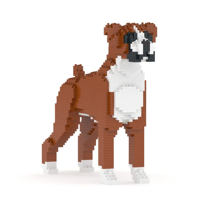 Boxer 01-M01