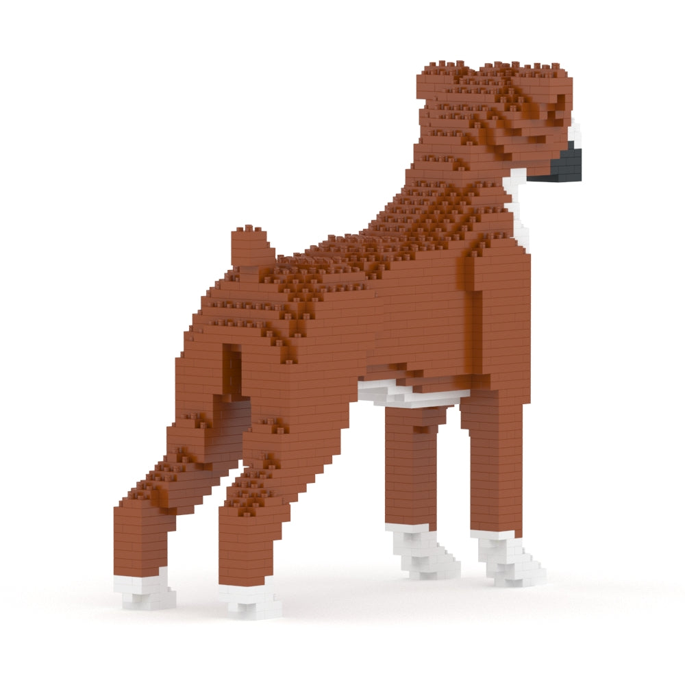 Boxer 01-M01