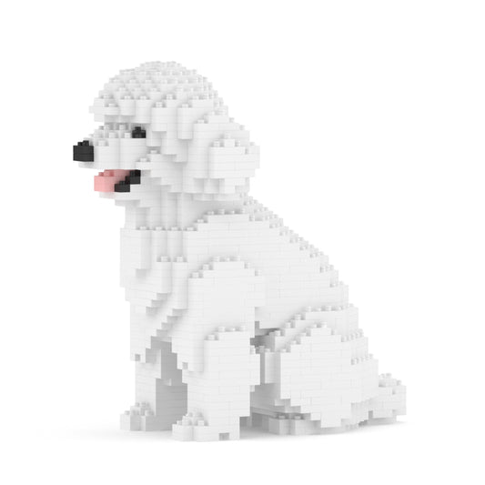 Toy Poodle 03-M01