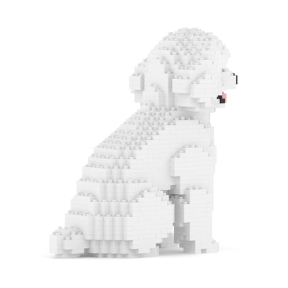 Toy Poodle 03-M01