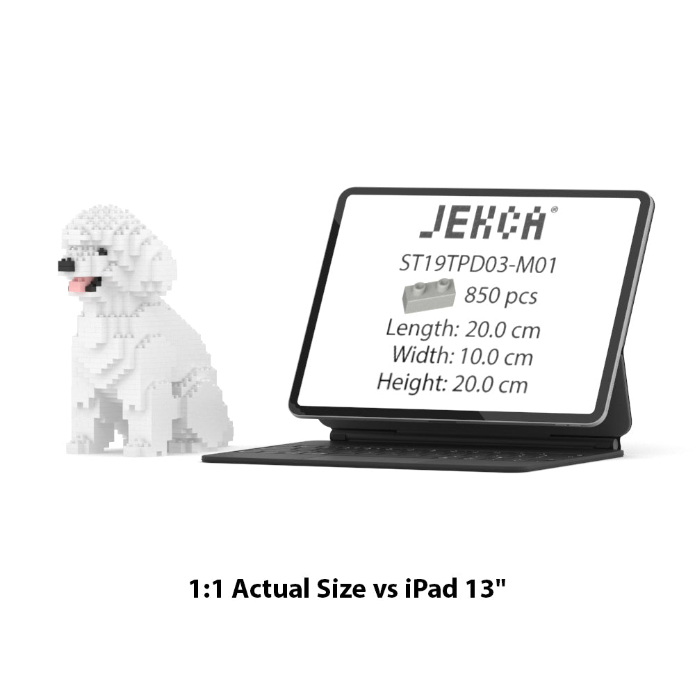 Toy Poodle 03-M01