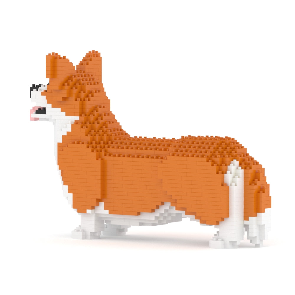 Welsh Corgi 02-M01