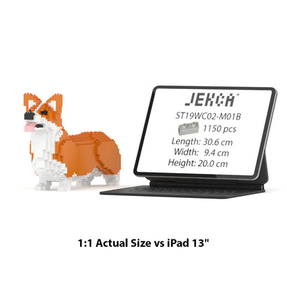 Welsh Corgi 02-M01