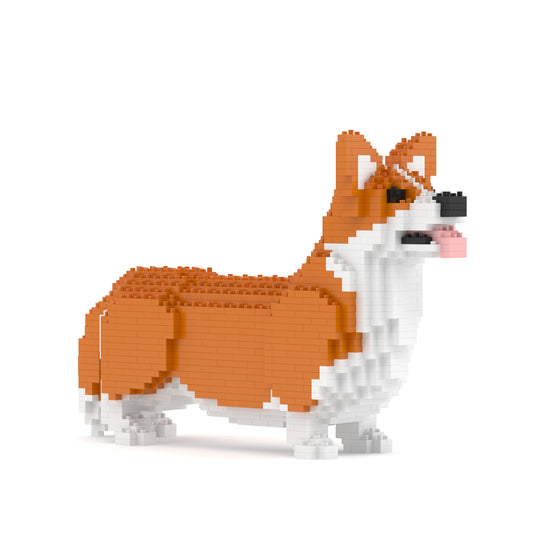 Welsh Corgi 02-M01