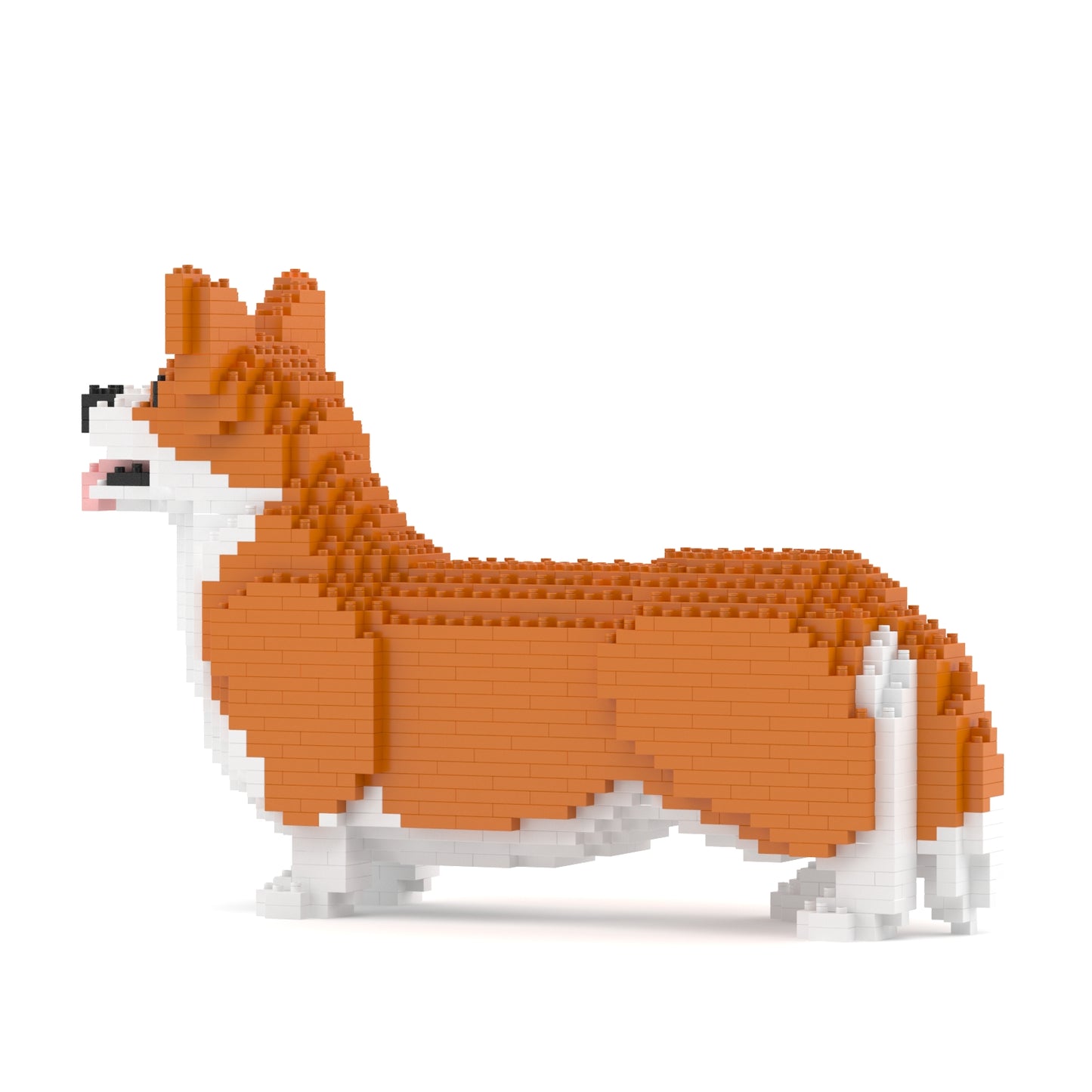 Welsh Corgi 02-M01