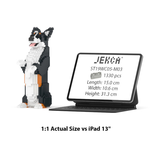 Welsh Corgi 05-M03