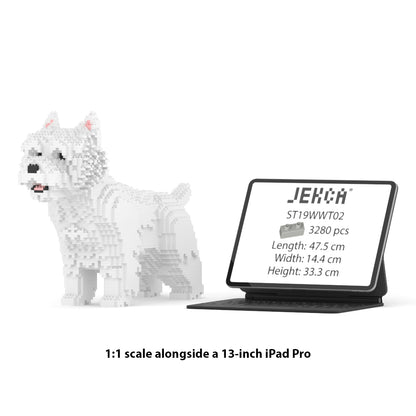 West Highland White Terrier 02