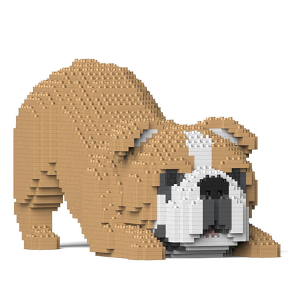 English Bulldog 4-in-1 Pack 01-M03
