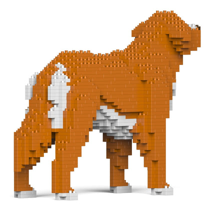 Nova Scotia Duck Tolling Retriever 01-M01